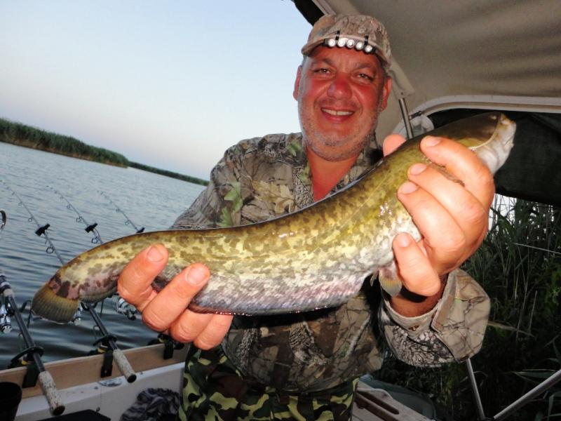 Delta iunie 2013 - dsc09929.JPG